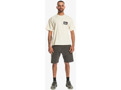 QUIKSILVER Herren Shirt BACKFLASH TEES Weiß