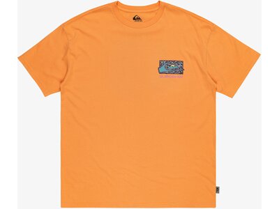 QUIKSILVER Herren Shirt SPINCYCLESS TEES Orange