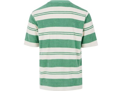 PROTEST Herren Shirt PRTBATIDAS Grün