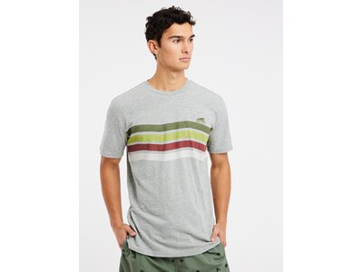 PROTEST Herren Polo PRTEXMOUTH t-shirt Grau