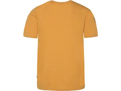 PROTEST Herren Shirt PRTCAARLO t-shirt Orange