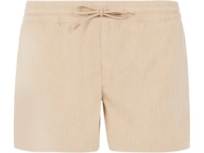 PROTEST Damen Shorts PRTANOA Braun