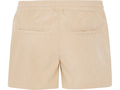 PROTEST Damen Shorts PRTANOA Braun
