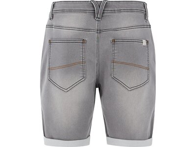 PROTEST Herren Shorts PRTYLVOR Grau