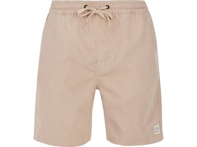 PROTEST Herren Shorts PRTULEY Braun