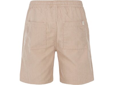PROTEST Herren Shorts PRTULEY Braun