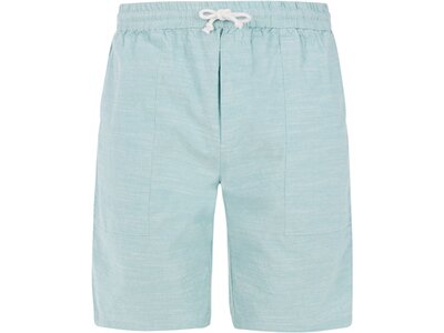 PROTEST Herren Shorts PRTBIRGER Blau