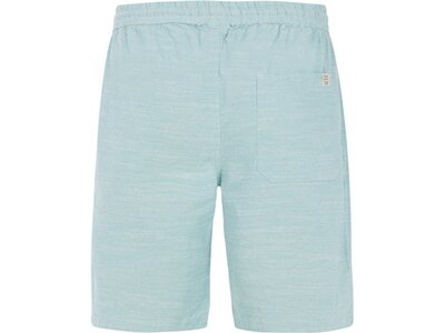 PROTEST Herren Shorts PRTBIRGER Blau