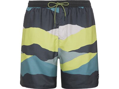 PROTEST Badehose PRTJAVIAR beachshort Grau