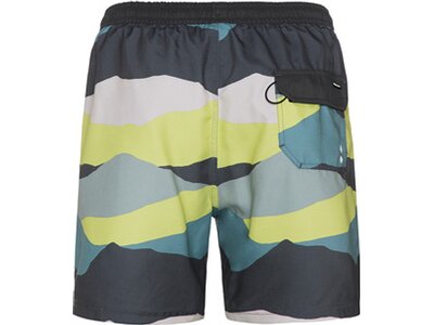 PROTEST Badehose PRTJAVIAR beachshort Grau