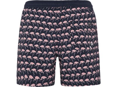 PROTEST Badehose PRTOHLANDER beachshort Blau