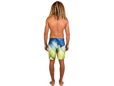 PROTEST Herren Zeb Beachshort Braun