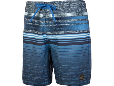 PROTEST Herren Powell Beachshort Grau