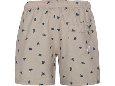 PROTEST Badehose PRTAAIDEN beachshort Grau