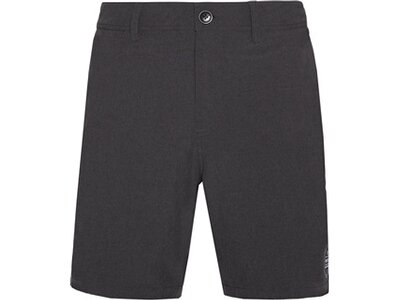 PROTEST Herren Shorts PRTFEARGHUS surfable short Grau