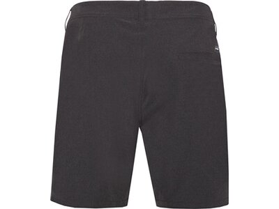 PROTEST Herren Shorts PRTFEARGHUS surfable short Grau