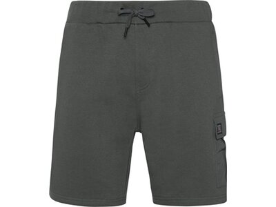 PROTEST Herren Shorts PRTORHEN shorts Grau