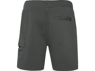 PROTEST Herren Shorts PRTORHEN shorts Grau