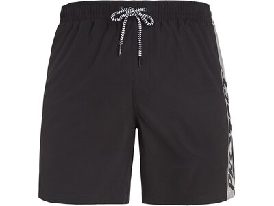 PROTEST Herren Badeshorts PRTFAREL beachshort Schwarz