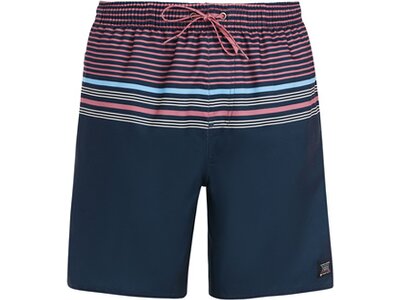 PROTEST Herren Badeshorts PRTGIO beachshort Blau