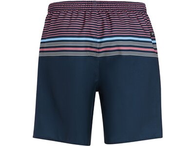 PROTEST Herren Badeshorts PRTGIO beachshort Blau