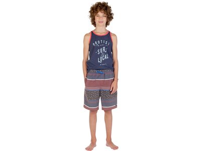PROTEST Kinder Freeby Beachshort Grau