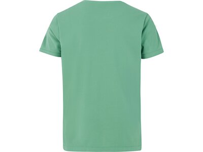 PROTEST Kinder Shirt PRTISLAND JR Grün