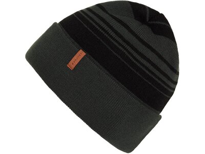 PROTEST Herren PRTSPOTTED beanie Grün