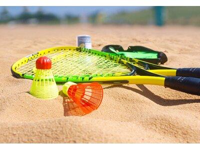 Talbot-Torro Speed Badminton Set Speed 4000 Gold