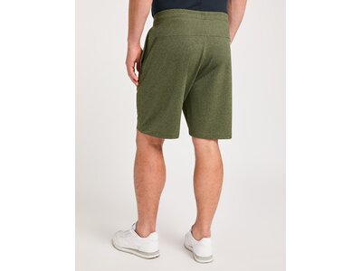 VENICE BEACH Herren Shorts VBM_Nash 4042 Hose Grün