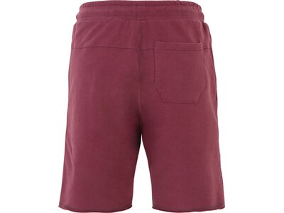 VENICE BEACH Herren Shorts VBM_Aiden 4021_BB01 Shorts Rot 