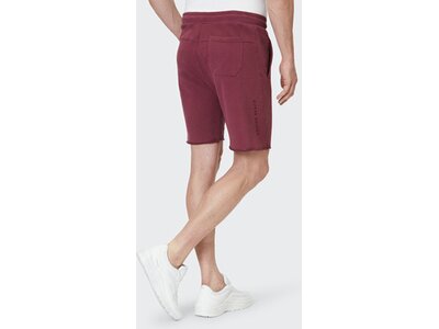 VENICE BEACH Herren Shorts VBM_Aiden 4021_BB01 Shorts Rot 