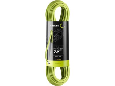 EDELRID Bergseil Apus Pro Dry 7,9mm Grün