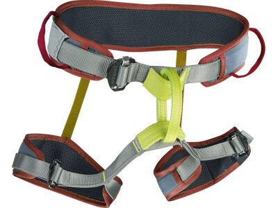 EDELRID Klettergurt Zack Gym Grau