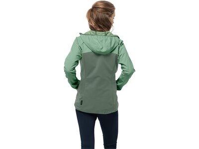 JACK WOLFSKIN Damen Funktionsjacke GO HIKE SOFTSHELL W Grün