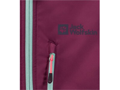 JACK WOLFSKIN Damen Funktionsjacke ALPSPITZE HOODY W Lila