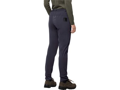 JACK WOLFSKIN Damen Hose TASMAN PANT W Grau