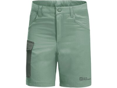 JACK WOLFSKIN Kinder Shorts ACTIVE SHORTS K Grün