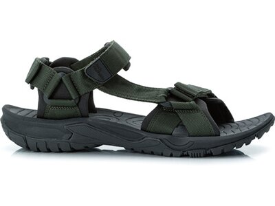 JACK WOLFSKIN Herren Sandalen LAKEWOOD RIDE SANDAL M Grau