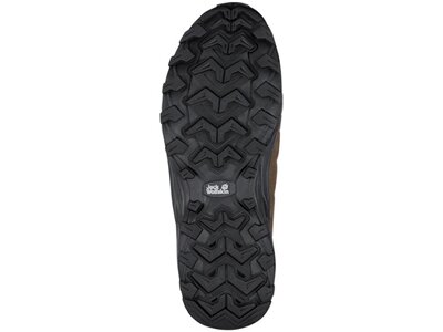 JACK WOLFSKIN Herren Multifunktionsschuhe REFUGIO TEXAPORE LOW M Braun