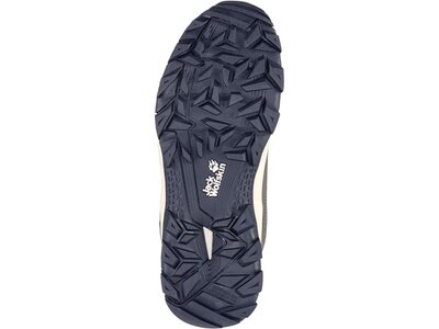 JACK WOLFSKIN Damen Multifunktionsstiefel EVERQUEST TEXAPORE HIGH W Grau