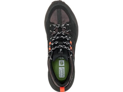 JACK WOLFSKIN Damen Multifunktionsschuhe TERRAQUEST TEXAPORE LOW W Grau