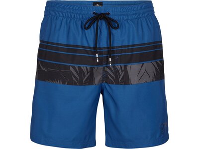 O'NEILL Herren Bermuda PM CALI STRIPE SHORTS Blau