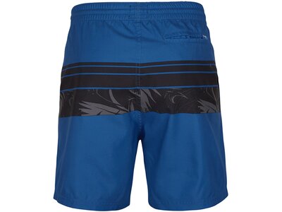 O'NEILL Herren Bermuda PM CALI STRIPE SHORTS Blau