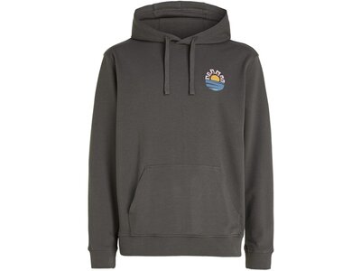 O'NEILL Herren Kapuzensweat OG SUN HOODIE Grau