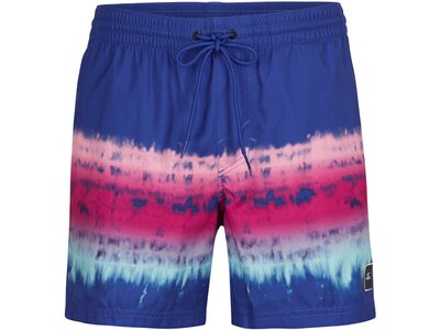 O'NEILL Herren Badeshorts HORIZON SHORTS Blau