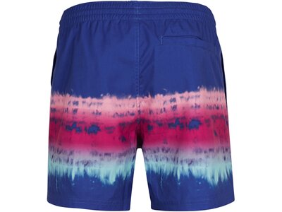 O'NEILL Herren Badeshorts HORIZON SHORTS Blau