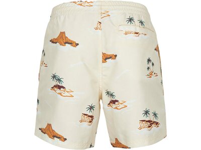 O'NEILL Herren Badeshorts CALI PRINT 15'' SWIM SHORTS Braun