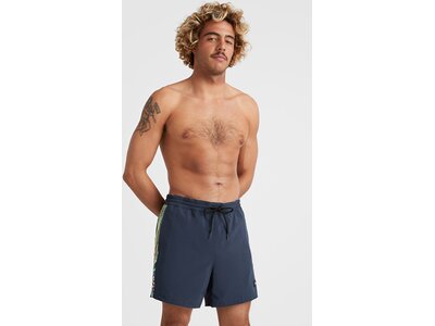 O'NEILL Herren Badeshorts COAST OCEAN 15'' SWIM SHORTS Blau