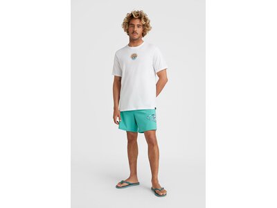 O'NEILL Herren Badeshorts CALI OCEAN 16'' SWIM SHORTS Grün